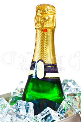 isolated champagne bottle in ice