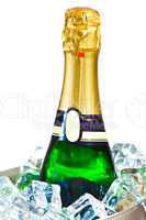 isolated champagne bottle in ice
