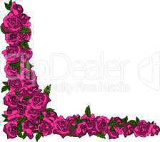 Pink Rosen Rahmen