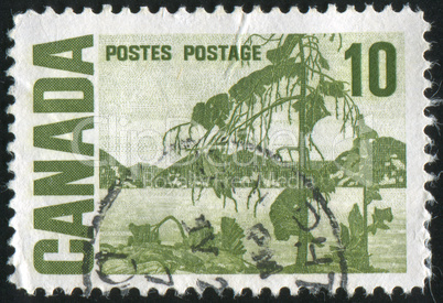 stamp