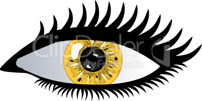 Auge Pupille gelb