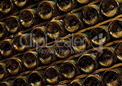 bottles in wine cellar