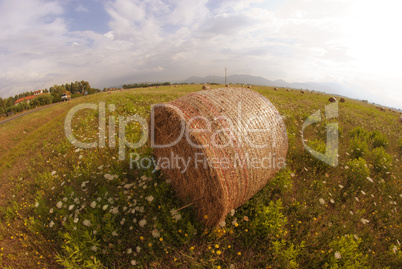 Haybale, Tuscany