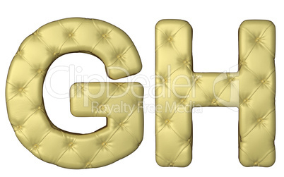 Luxury beige leather font G H letters