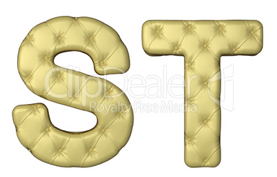 Luxury beige leather font S T letters