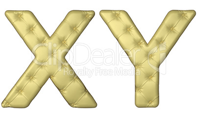 Luxury beige leather font X Y letters
