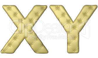 Luxury beige leather font X Y letters
