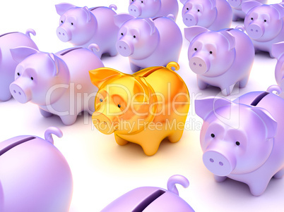 Right choice: Golden piggy bank