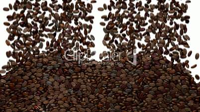 Unsorted Coffee beans falling down