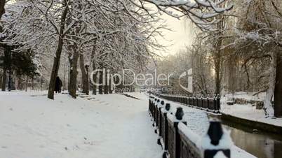Beautiful winter park