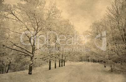 grunge image of winter landscape