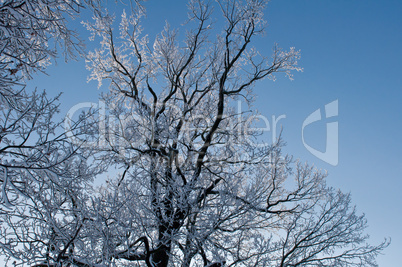 Cold winter day