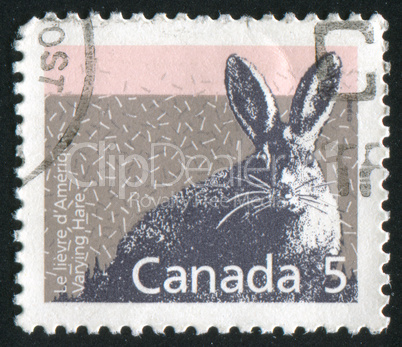 stamp