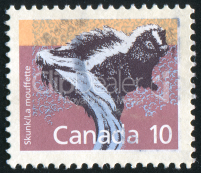 stamp stamp