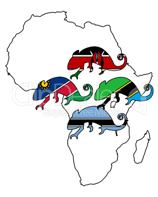 Afrikanische Chamäleons