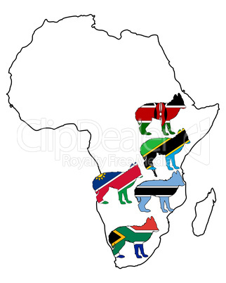 Afrikanische Schakale