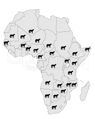 Gepard Vorkommen Afrika