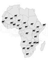 Gepard Vorkommen Afrika