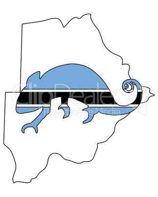 Botswana Chamäleon