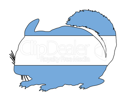 Chinchilla Argentinien