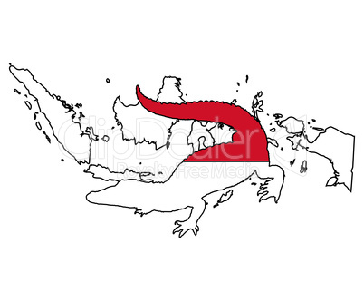 Krokodil Indonesien