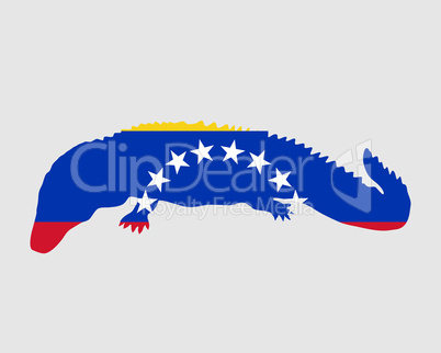 Kaiman Venezuela