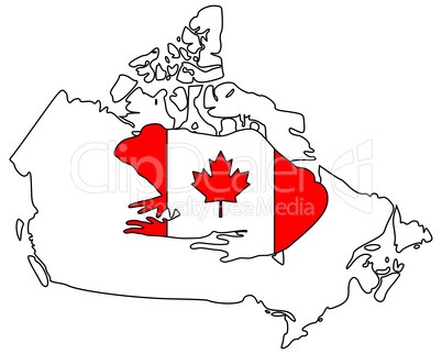Ochsenfrosch Kanada