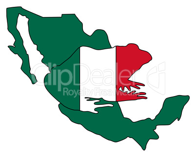 Ochsenfrosch Mexiko
