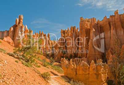 Red pinnacles (hoodoos) of Bryce Canyon, Utah, USA