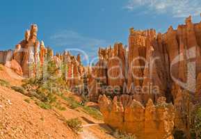 Red pinnacles (hoodoos) of Bryce Canyon, Utah, USA