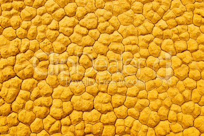 Texture of cracked soil, Death Valley, California