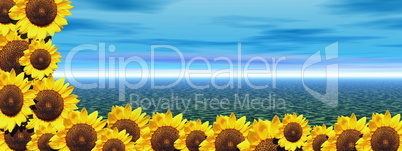 Blue ocean and sunflowers