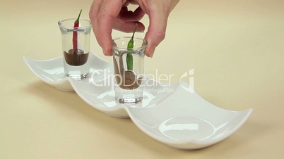 Putting Chilli Glasses On Tray