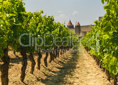 Medieval town of Carcassonne and vineyards
