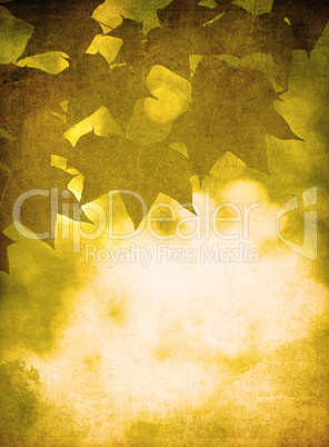 grunge background with autumn leaves