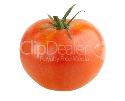 One tomato isolated