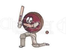 Human Cricket ball