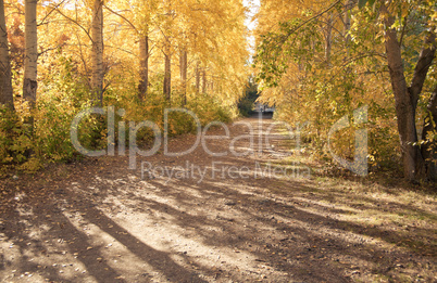 Autumn landscape