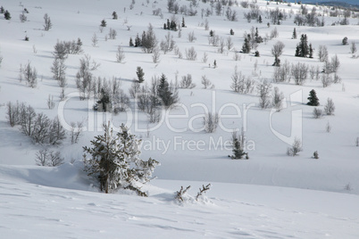 Winterlandschaft in Norwegen