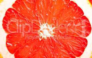 Core of grapefruit close-up