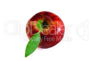 Isolated red apple, top view