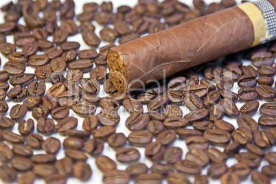 Cuban cigar on coffee beans background