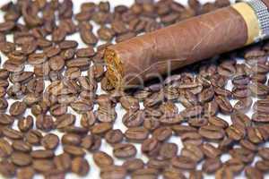 Cuban cigar on coffee beans background