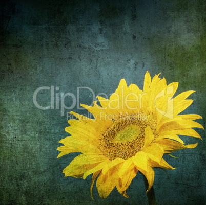 vintage image of sunflower on grunge background