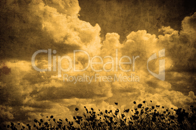 grunge image of cloudy sky and grass, perfect halloween backgrou