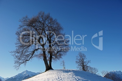 Winterlandschaft