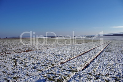 Winterlandschaft Schönenbuch