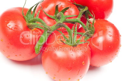 Tomatoes