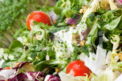 Gemischter Salat mit frischen Kräutern