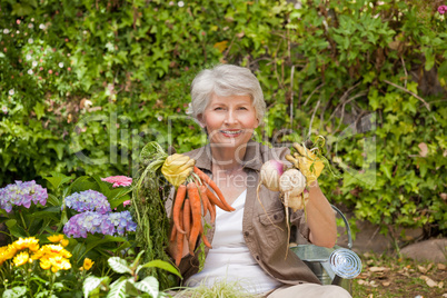 Retired woman working in the garden